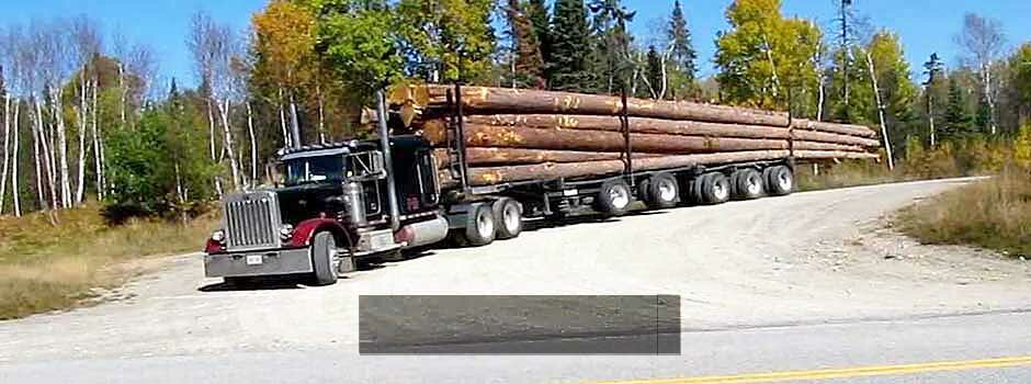 Транспортировка и доставка леса